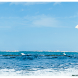 The Face Place and More - Website banner