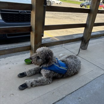 MAKANMAKAN - Patio for the dog - Indonesian Near Me - Sandy, Utah MAKANMAKAN - Patio for the dog - Indonesian Near Me - Sandy, Utah
