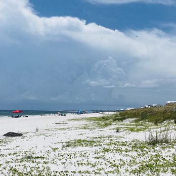 Mexico Beach - Naturally Wild & free... - Beaches Near Me - Mexico Beach, Florida Mexico Beach - Naturally Wild & free... - Beaches Near Me - Mexico Beach, Florida