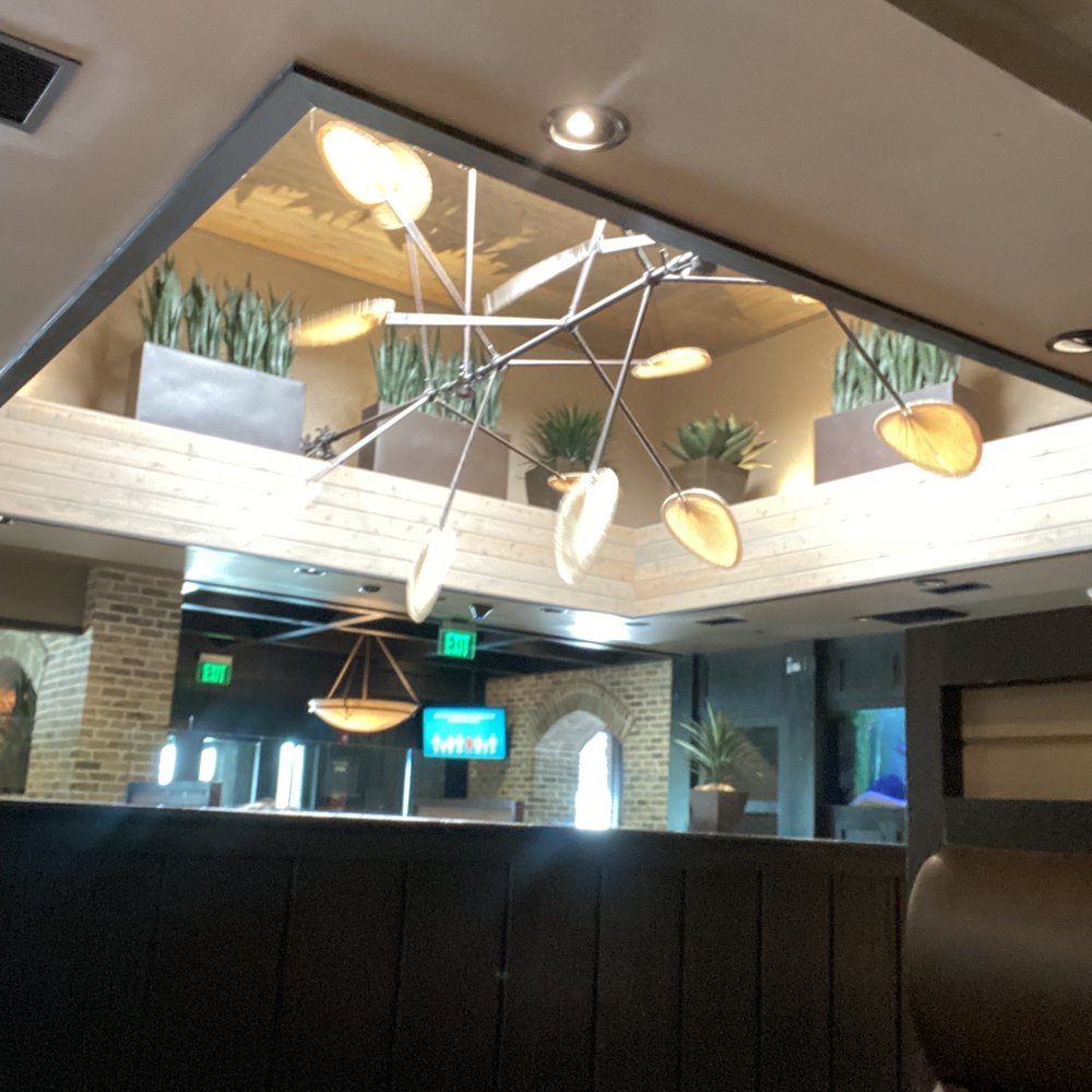 Cheddar's Scratch Kitchen - Cheddar's high ceiling's dinning area with rotating long arm fans - American Near Me - Daytona Beach, Florida Cheddar's Scratch Kitchen - Cheddar's high ceiling's dinning area with rotating long arm fans - American Near Me - Daytona Beach, Florida