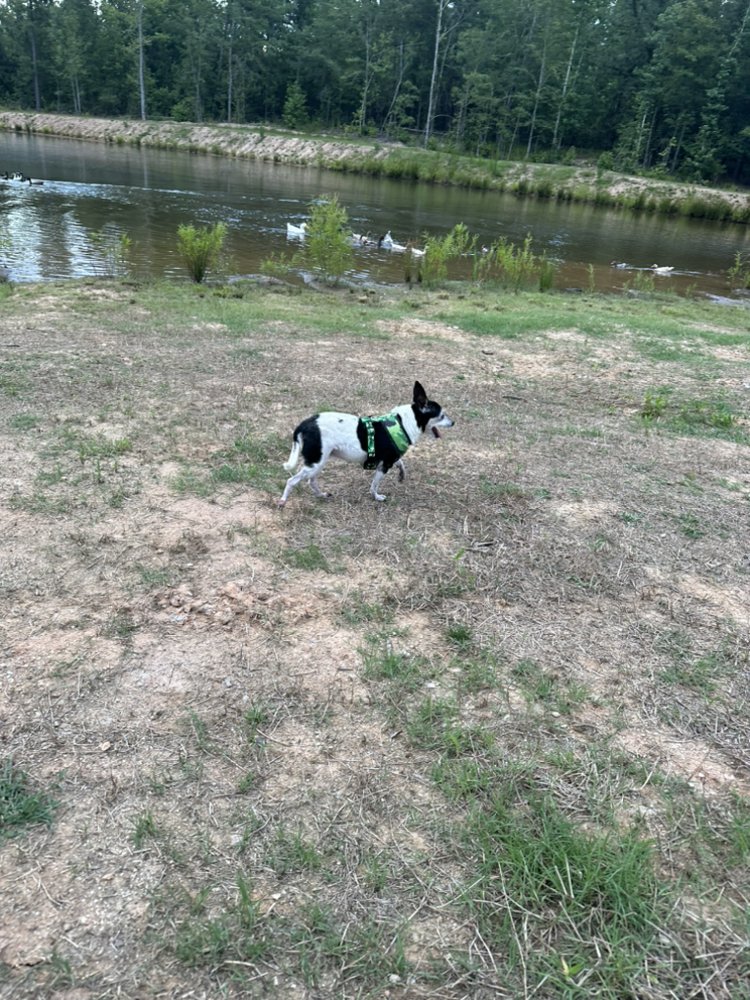 PAWS AND CLAWS PET LODGE Request Information 518 Sweetwater Rd