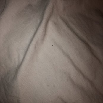 TownPlace Suites Marriott - LaPlace - Bedbugs - Hotels Near Me - Laplace, Louisiana