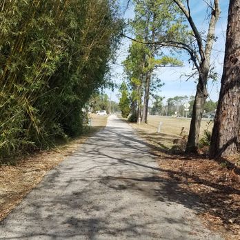 Black Creek Park and Trail - Runs parallel to US 17 - Some areas are open with a clear view of US 17 - Hiking Near Me - Fleming Island, Florida