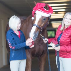 Mary's Tack & Feed