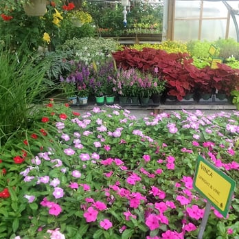 Wading River Nursery And Garden Supply - Nurseries & Gardening Near Me - Wading River, New York Wading River Nursery And Garden Supply - Nurseries & Gardening Near Me - Wading River, New York