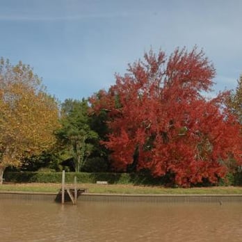 Delta Tres Bocas - Los colores del Otoño en el Tres Bocas. - Local Flavor Near Me