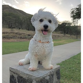 Bryan Clay Exercise Park - Parks Near Me - Honolulu, Hawaii