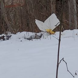 a broken sign in the snow a broken sign in the snow
