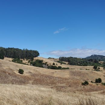 Wildcat Canyon Regional Park - Parks Near Me - Richmond, California Wildcat Canyon Regional Park - Parks Near Me - Richmond, California