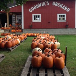 Goodwin's Orchard