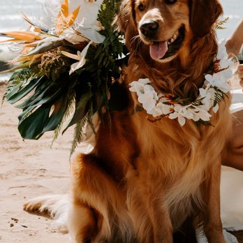 Atelier Botanicals - Floral Designers Near Me
