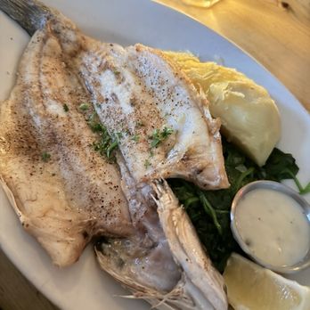 Suppenküche - Forelle | Sauteed Trout - German Near Me - San Francisco, California Suppenküche - Forelle | Sauteed Trout - German Near Me - San Francisco, California