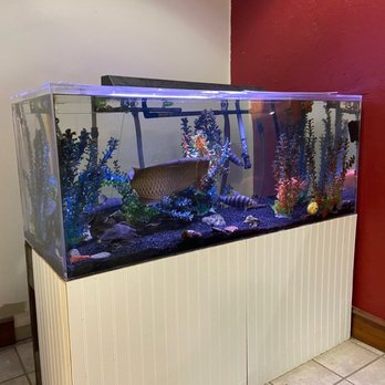 Ramada by Wyndham Arcata - Big fish in a small tank. This is animal abuse. - Hotels Near Me - Arcata, California Ramada by Wyndham Arcata - Big fish in a small tank. This is animal abuse. - Hotels Near Me - Arcata, California