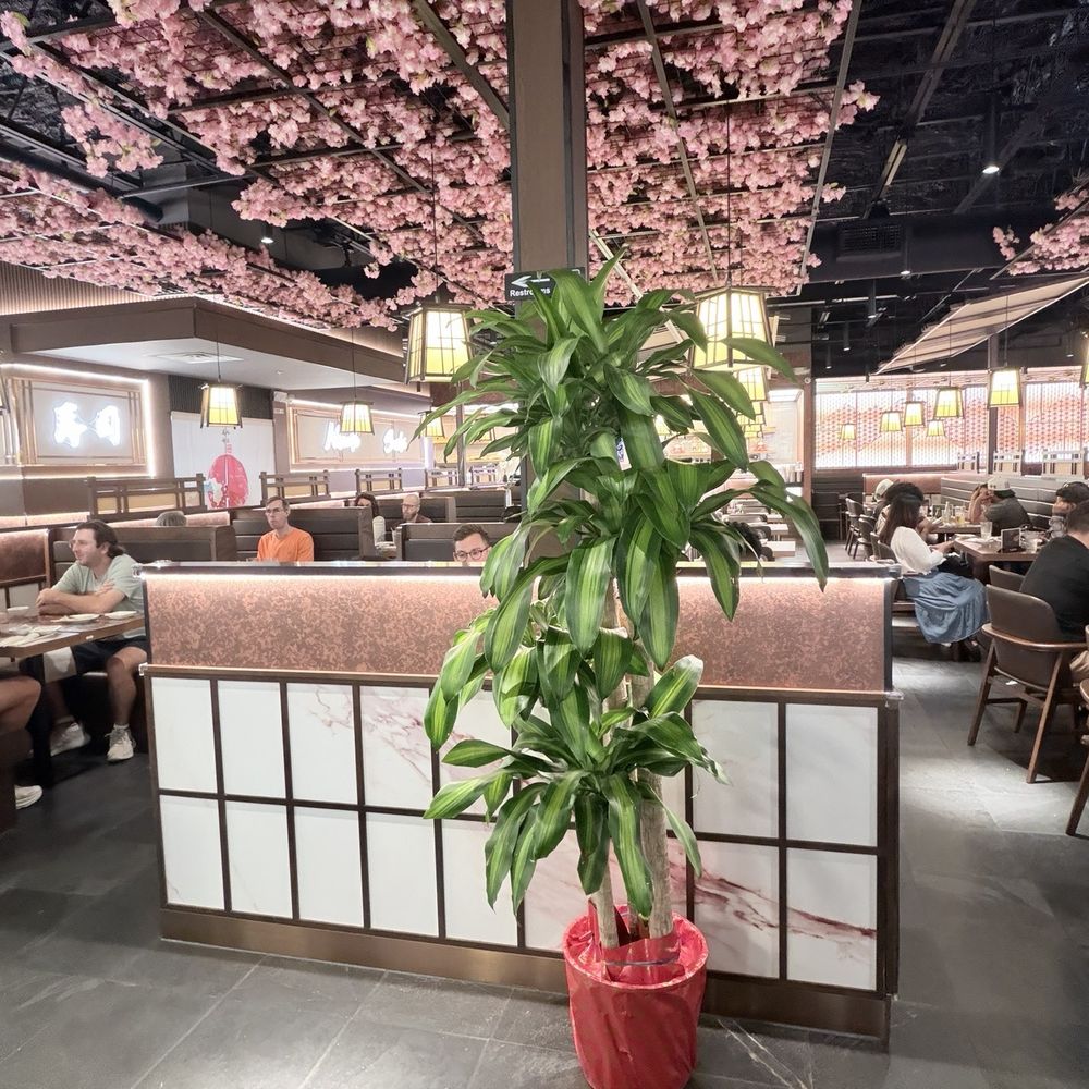 Machi Sushi - Japanese Near Me - Houston, Texas