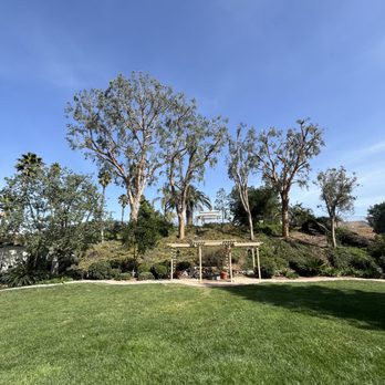 Navas Tree Care - After - Tree Services Near Me Navas Tree Care - After - Tree Services Near Me