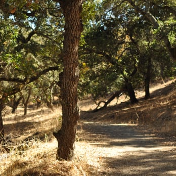Bishop Ranch Regional Preserve - Hiking Near Me