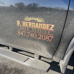 P Hernandez Tree Service - Service name and number!