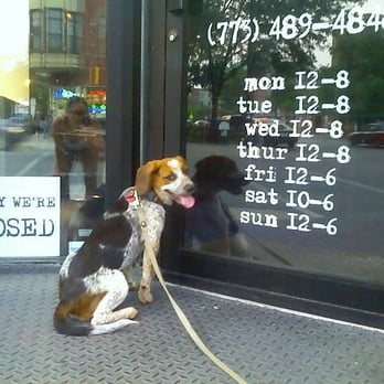 D/Vision Optical - Don't be sad, Zuli! We'll be open soon! - Optometrists Near Me - Chicago, Illinois D/Vision Optical - Don't be sad, Zuli! We'll be open soon! - Optometrists Near Me - Chicago, Illinois