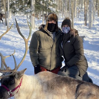Running Reindeer Ranch - Cool photo ops - Walking Tours Near Me - Fairbanks, Alaska Running Reindeer Ranch - Cool photo ops - Walking Tours Near Me - Fairbanks, Alaska