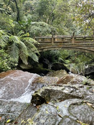 Yangmingshan National Park by null