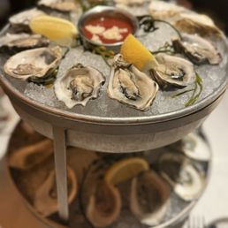Oysters Oysters