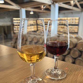 CMTOUR - Port tasting - Boat Tours Near Me - Peso da Régua, 17
