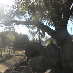 Mountain Shadows Mobile Home Park - On a walk at Mountain Shadows Mobile Home Park.