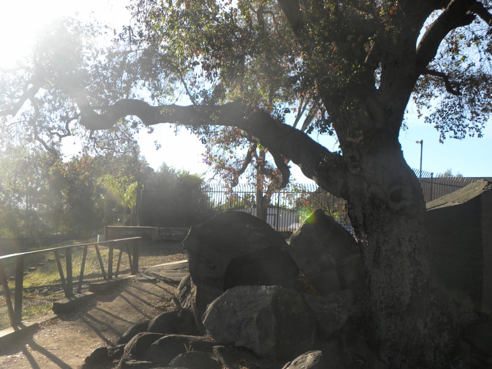 MOUNTAIN SHADOWS MOBILE HOME PARK Updated September 2024 1750 W