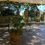 Piccolo Caffe