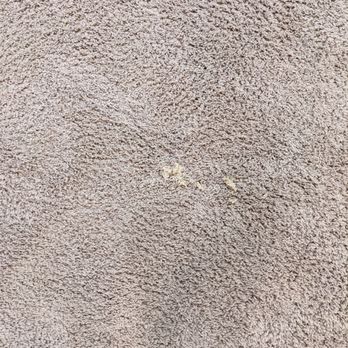 Five Star Home Services - Saw dust on carpet - Home Cleaning Near Me - Millersville, Maryland