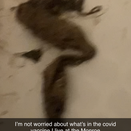The hairball from my drain (I don't put hair down the drain and had been here 4 months!!) The hairball from my drain (I don't put hair down the drain and had been here 4 months!!)