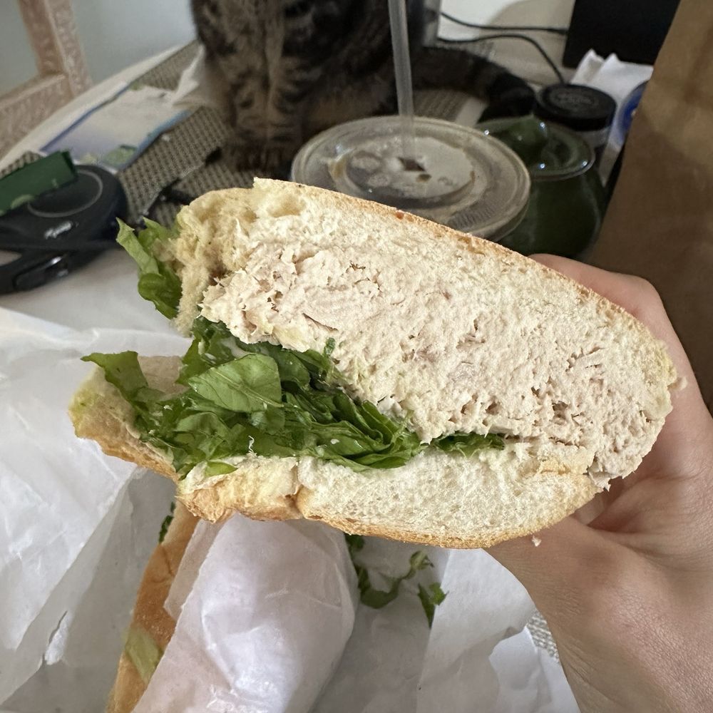 Tuna Salad Sandwich Tuna Salad Sandwich