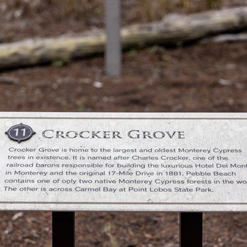 The Crocker Cypress Grove - 17-mile Drive Stop 11: The Crocker Cypress Grove - Pebble Beach, CA - Parks Near Me - Del Monte Forest, California The Crocker Cypress Grove - 17-mile Drive Stop 11: The Crocker Cypress Grove - Pebble Beach, CA - Parks Near Me - Del Monte Forest, California