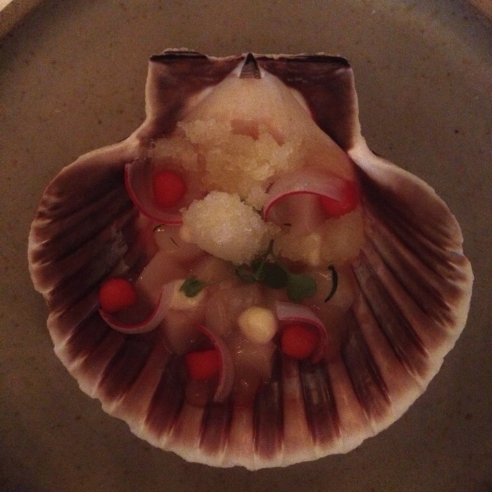 Martin Wishart - Marinated Orkney scallop with radish, apple granita and lime. - British Near Me - edinburgh, EDH Martin Wishart - Marinated Orkney scallop with radish, apple granita and lime. - British Near Me - edinburgh, EDH