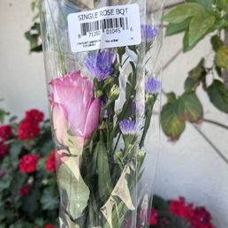 single rose single rose