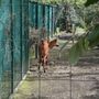 Photo of Dublin Zoo