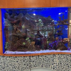 Islip Public Library - Fish tank
