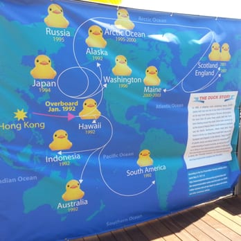 World's Largest Rubber Duck - Festivals Near Me - Los Angeles, California World's Largest Rubber Duck - Festivals Near Me - Los Angeles, California