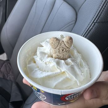 Dutch Bros Coffee - pup cup my cat loved it - Juice Bars & Smoothies Near Me - Vista, California