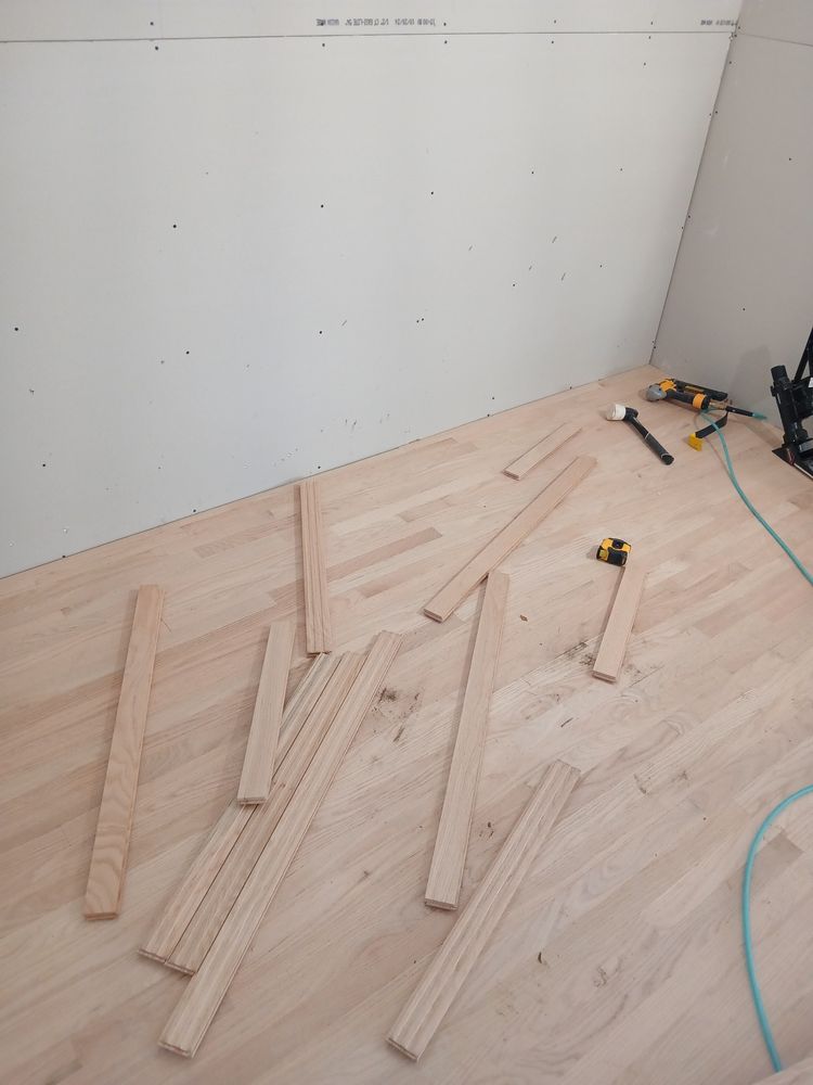 Slide of White Rhino