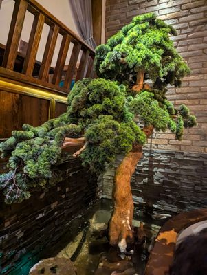 CHELI FLUSHING浙里 by null