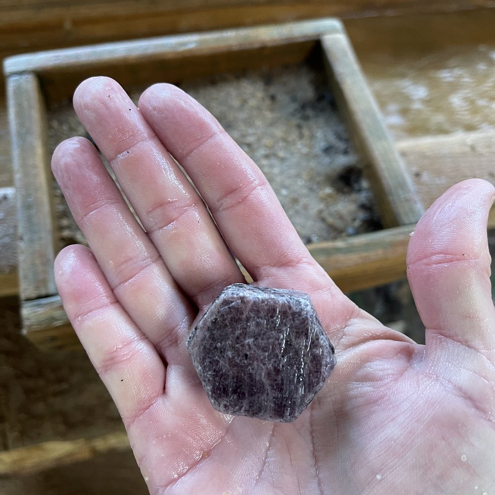 Big ole RUBY I found! Big ole RUBY I found!