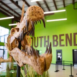Indiana Dinosaur Museum