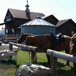 Rusty's Saloon & Grill - Trusty steeds waiting for their owners to wet their whistle.
