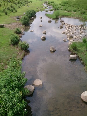 Bishan-Ang Mo Kio Park by null