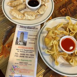 New Garden - Fried dumplings and crab rangoon