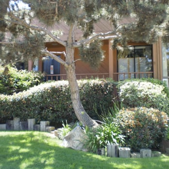 Healing Hope - Healing Hope from the street, right after the Design District on South Cedros Avenue - Veterinarians Near Me - Solana Beach, California