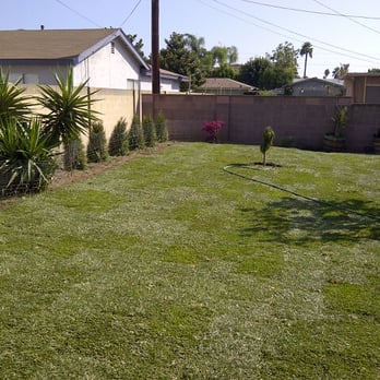 Hamill & Associates - LORI MAXEY BACKYARD AFTER - Landscaping Near Me Hamill & Associates - LORI MAXEY BACKYARD AFTER - Landscaping Near Me