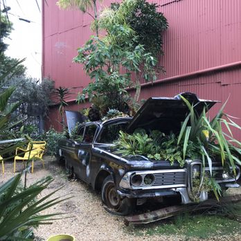 Flora Grubb Gardens - Car with plants - Nurseries & Gardening Near Me - San Francisco, California