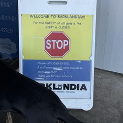 Barklandia - My boy desperately trying to enter lol